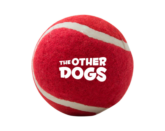 Tennis Ball