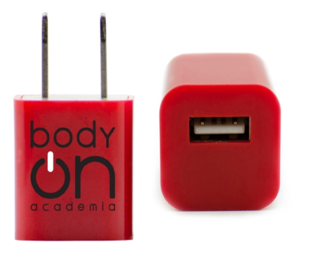Compact USB Wall Charger
