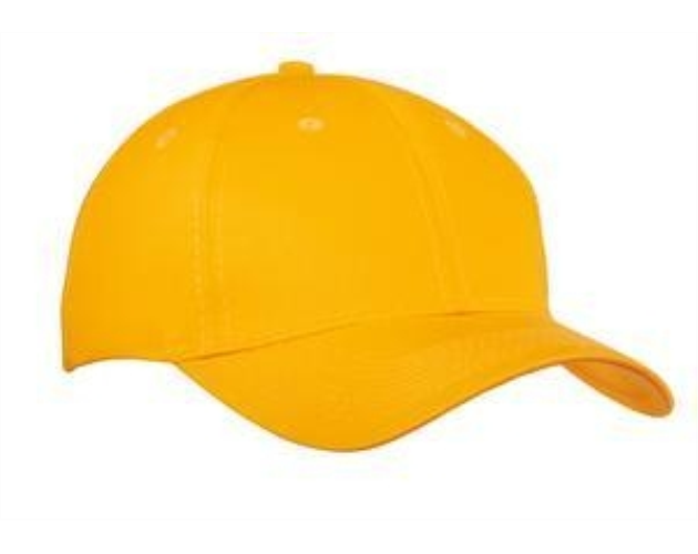 6 Panel Twill Cap