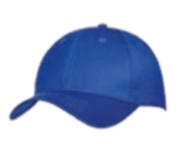 Youth 6 Panel Twill Cap