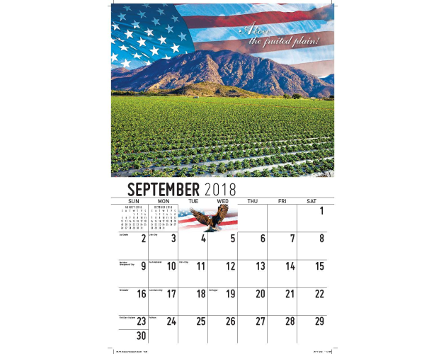 10881-63