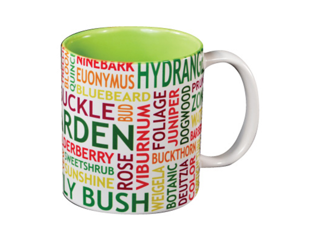 White with Lime Interior C Handle Mug - 11oz.