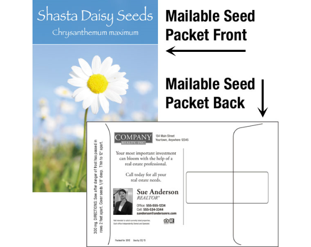 Shasta Daisy Mailable Seed Packet