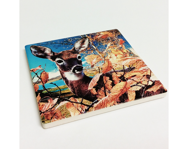 Coaster Absorbant Stone (Round or Sguare)
