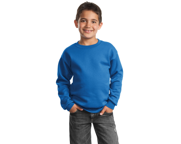 Youth Crewneck Sweatshirt