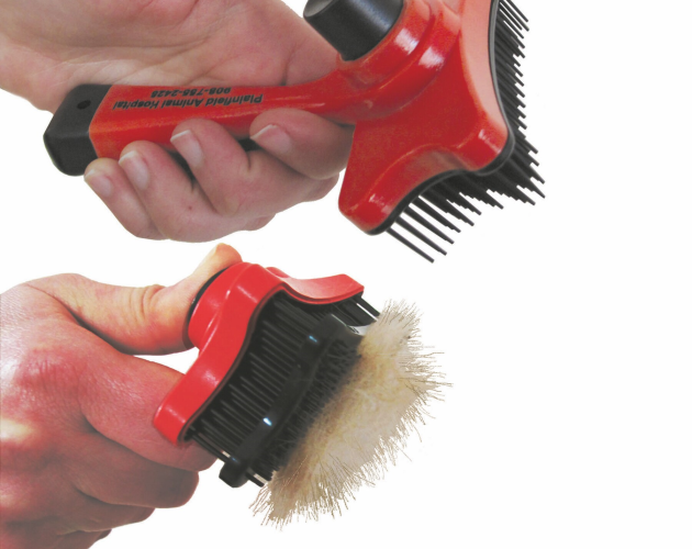 Dog Brush