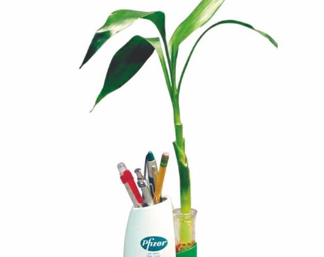 Eco Desk Caddy w/ Bud Vase