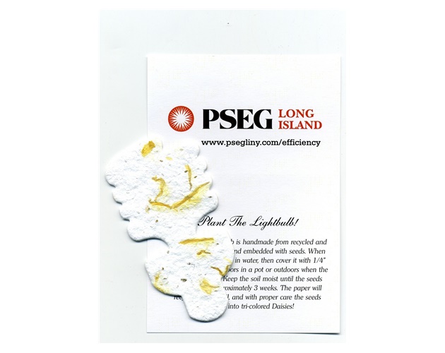 Lightbulb Ornament w/ Embedded Daisy Seed