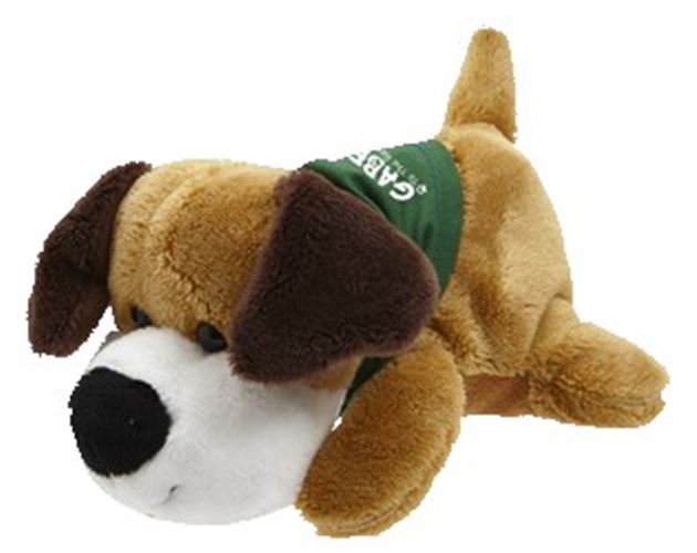 Pocket Pets - Dog