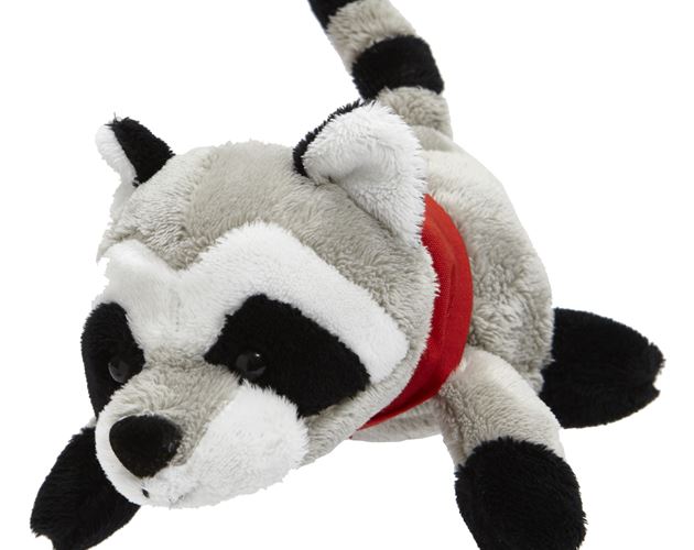 Pocket Pets - Raccoon