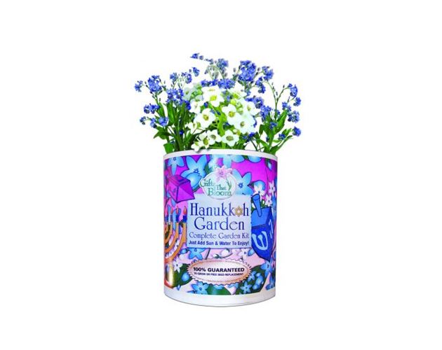 Hanukkah Garden Grocan Seeds