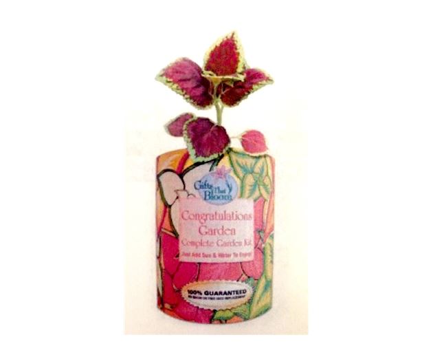 Congratulations Garden Grocan