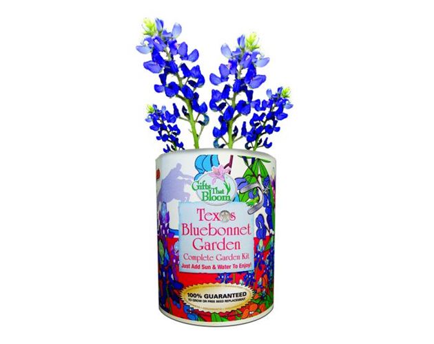 Texas Bluebonnet Garden Grocan