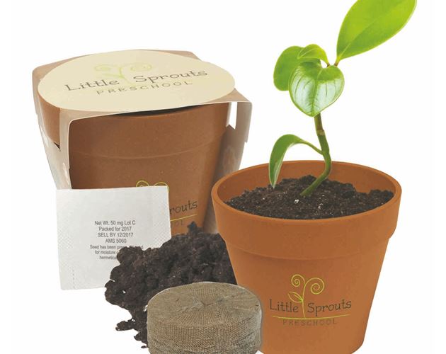 Mini Bamboo Blossom Kit w/ Seeds & Pot