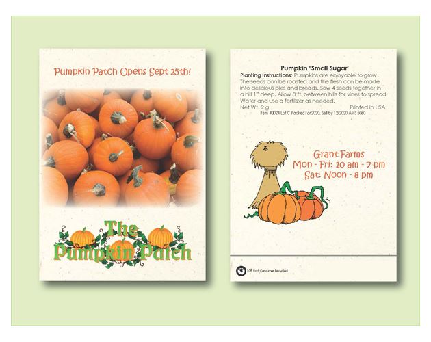 'Small Sugar' Pumpkin Seed Packet (3.25" x 4.5")