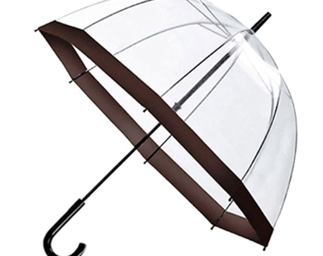 Transparent Umbrella