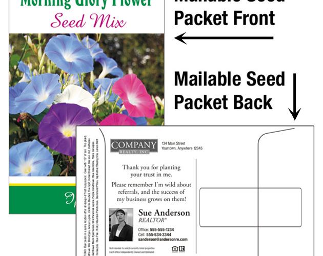 Morning Glory / Mailable Seed Packet - Custom Printed Back