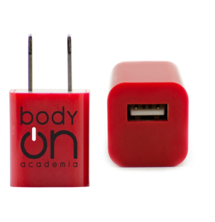 Compact USB Wall Charger