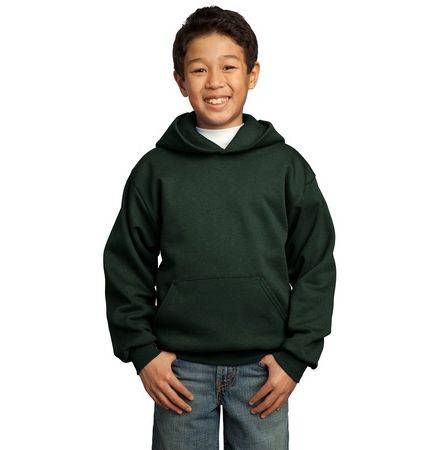 Youth Pullover Hoodie