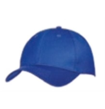 Youth 6 Panel Twill Cap