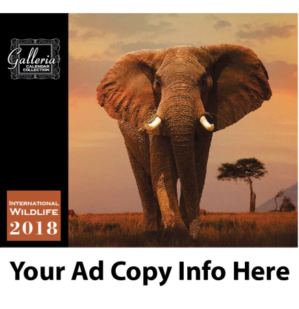 International Wildlife  Wall Calendar
