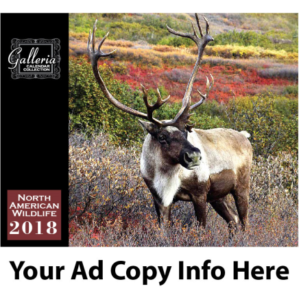 North American Wildlife Wall Calendar