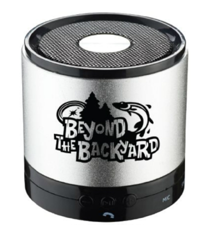 Metallic Bluetooth Speaker