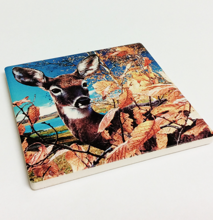 Coaster Absorbant Stone (Round or Sguare)
