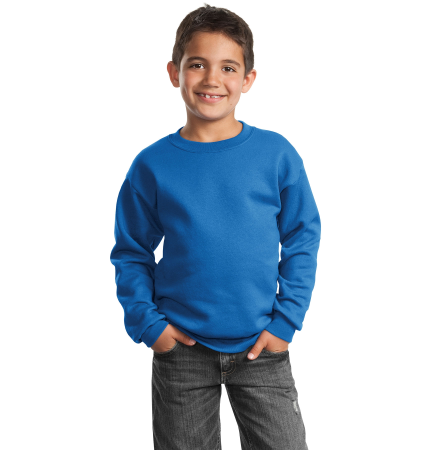 Youth Crewneck Sweatshirt