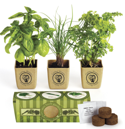 GrowPot Eco Planter for Herb Garden Set