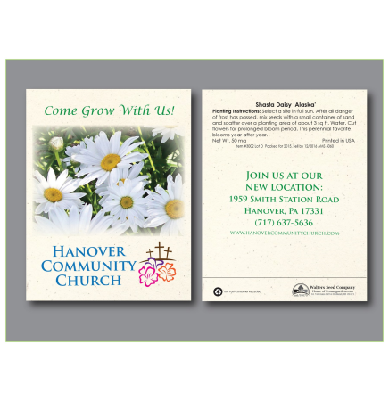Shasta Daisy/ Alaska Flower Seed Packet