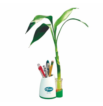 Eco Desk Caddy w/ Bud Vase