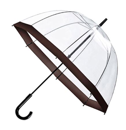 Transparent Umbrella